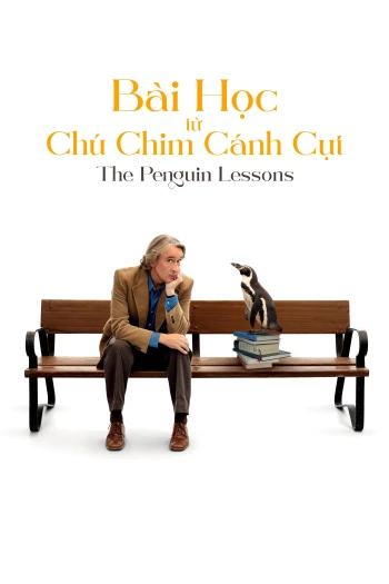 Bài Học Từ Chú Chim Cánh Cụt 2025
