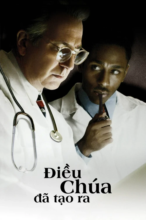 Điều Chúa Đã Tạo Ra 2004