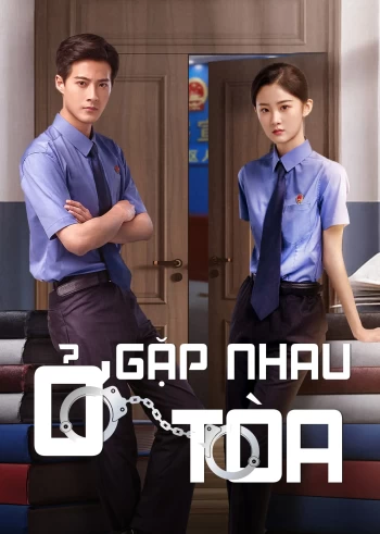 Gặp Nhau Ở Toà