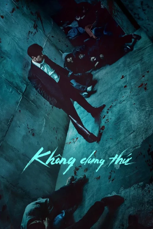 Không Dung Thứ 2025